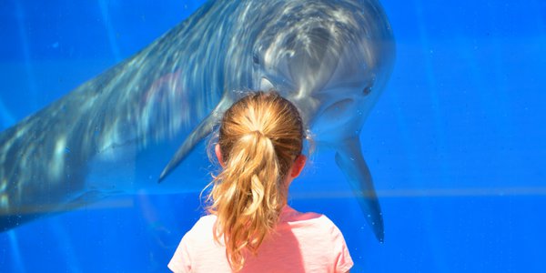 Genova il Porto e il suo Acquario